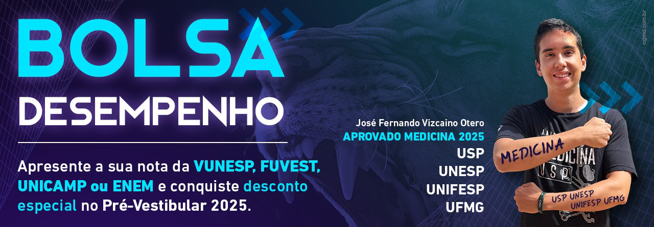 Bolsa Desempenho 2025